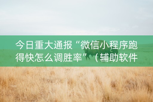 今日重大通报“微信小程序跑得快怎么调胜率”（辅助软件)