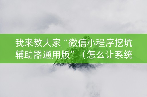 我来教大家“微信小程序挖坑辅助器通用版”（怎么让系统给自己好牌)