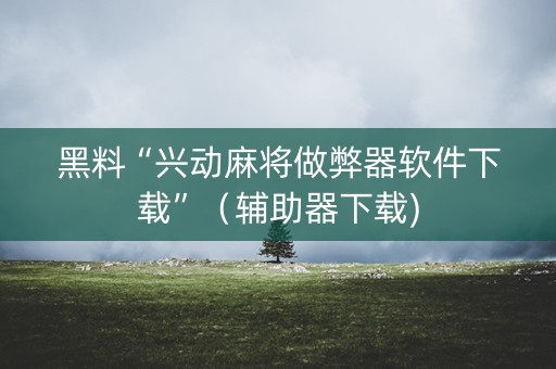 黑料“兴动麻将做弊器软件下载”（辅助器下载)