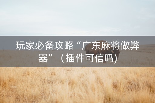 玩家必备攻略“广东麻将做弊器”（插件可信吗)