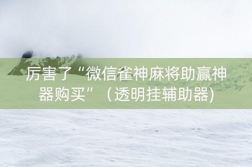 厉害了“微信雀神麻将助赢神器购买”（透明挂辅助器)