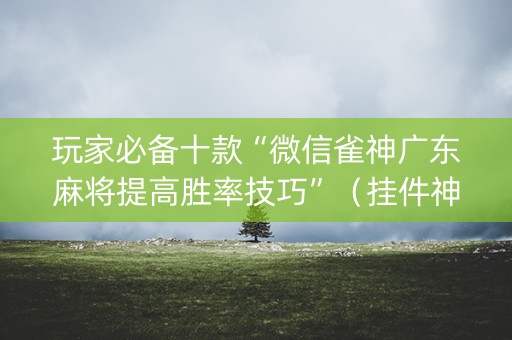 玩家必备十款“微信雀神广东麻将提高胜率技巧”（挂件神器)