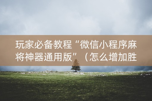 玩家必备教程“微信小程序麻将神器通用版”（怎么增加胜率)