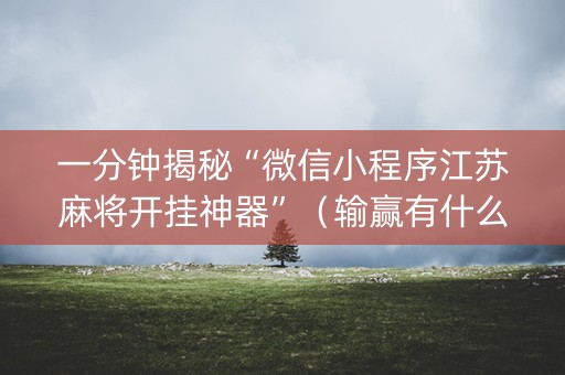 一分钟揭秘“微信小程序江苏麻将开挂神器”（输赢有什么规律)