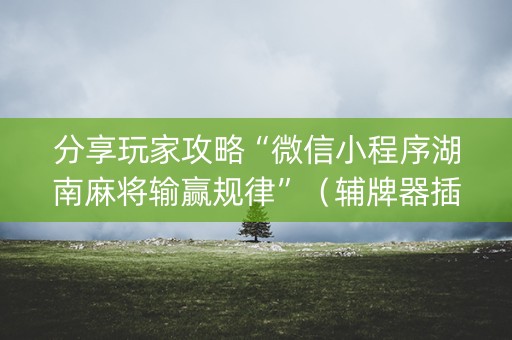 分享玩家攻略“微信小程序湖南麻将输赢规律”（辅牌器插件购买)