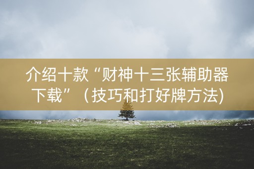介绍十款“财神十三张辅助器下载”（技巧和打好牌方法)