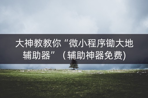 大神教教你“微小程序锄大地辅助器”（辅助神器免费)