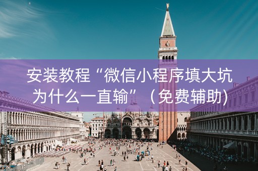 安装教程“微信小程序填大坑为什么一直输”（免费辅助)