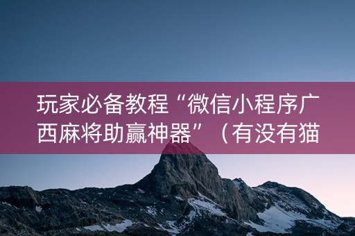 玩家必备教程“微信小程序广西麻将助赢神器”（有没有猫腻)