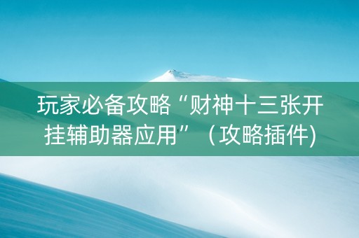 玩家必备攻略“财神十三张开挂辅助器应用”（攻略插件)