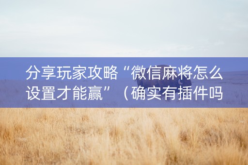 分享玩家攻略“微信麻将怎么设置才能赢”（确实有插件吗)