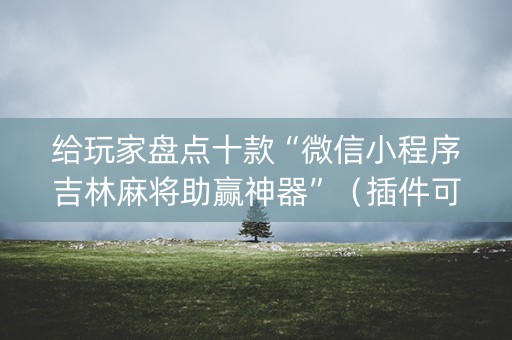 给玩家盘点十款“微信小程序吉林麻将助赢神器”（插件可信吗)