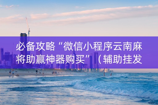 必备攻略“微信小程序云南麻将助赢神器购买”（辅助挂发牌规律)