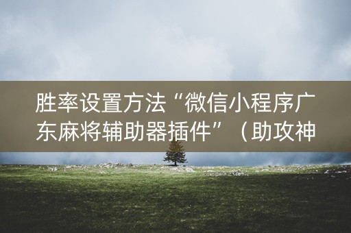 胜率设置方法“微信小程序广东麻将辅助器插件”（助攻神器)
