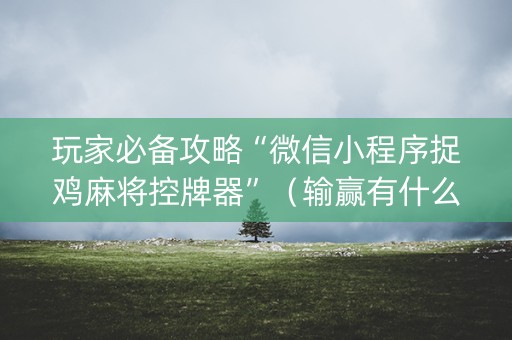 玩家必备攻略“微信小程序捉鸡麻将控牌器”（输赢有什么规律)