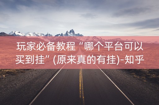 玩家必备教程“哪个平台可以买到挂”(原来真的有挂)-知乎