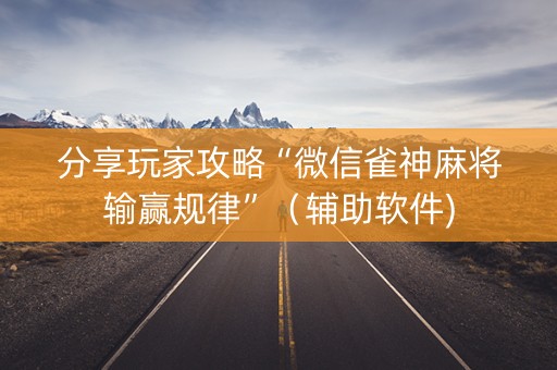 分享玩家攻略“微信雀神麻将输赢规律”（辅助软件)