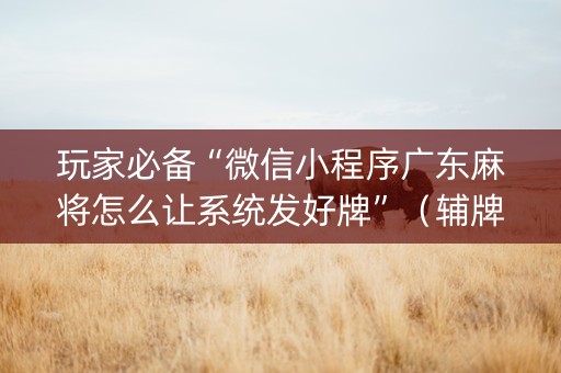 玩家必备“微信小程序广东麻将怎么让系统发好牌”（辅牌器插件购买)