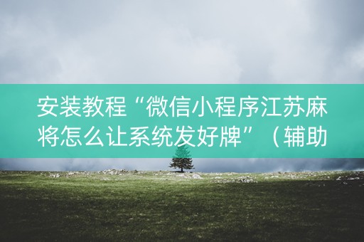 安装教程“微信小程序江苏麻将怎么让系统发好牌”（辅助器通用版)