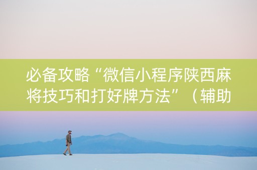 必备攻略“微信小程序陕西麻将技巧和打好牌方法”（辅助软件)