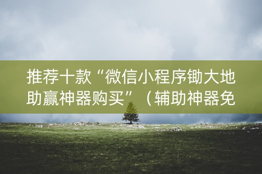 推荐十款“微信小程序锄大地助赢神器购买”（辅助神器免费)