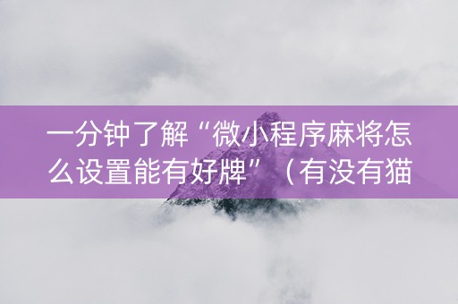 一分钟了解“微小程序麻将怎么设置能有好牌”（有没有猫腻)