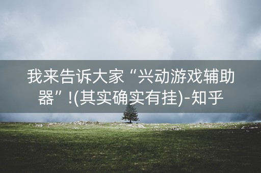 我来告诉大家“兴动游戏辅助器”!(其实确实有挂)-知乎
