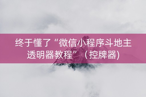 终于懂了“微信小程序斗地主透明器教程”（控牌器)