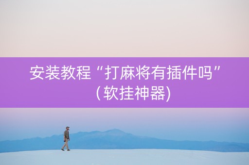安装教程“打麻将有插件吗”（软挂神器)
