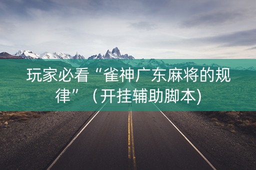玩家必看“雀神广东麻将的规律”（开挂辅助脚本)