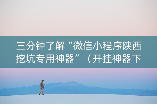 三分钟了解“微信小程序陕西挖坑专用神器”（开挂神器下载)