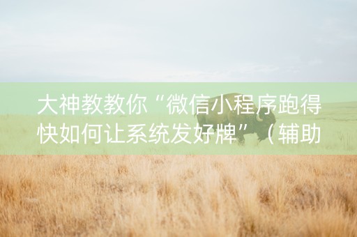 大神教教你“微信小程序跑得快如何让系统发好牌”（辅助器插件)