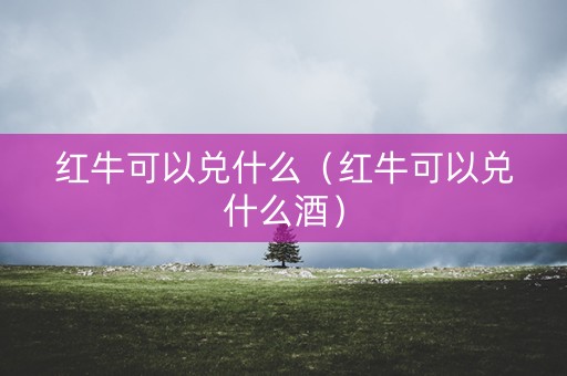 红牛可以兑什么（红牛可以兑什么酒）