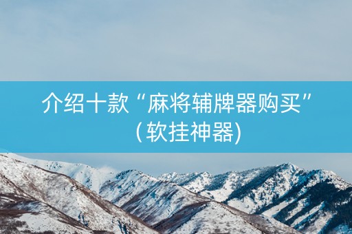 介绍十款“麻将辅牌器购买”（软挂神器)