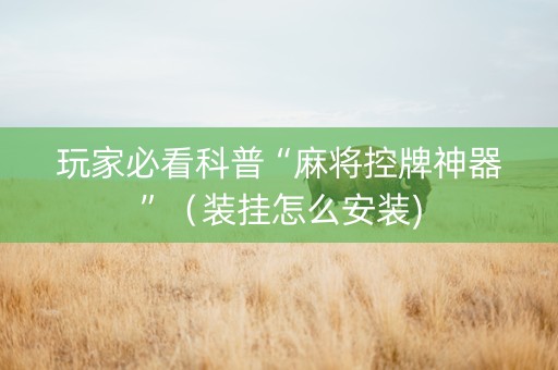 玩家必看科普“麻将控牌神器”（装挂怎么安装)