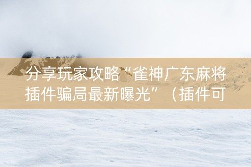 分享玩家攻略“雀神广东麻将插件骗局最新曝光”（插件可信吗)