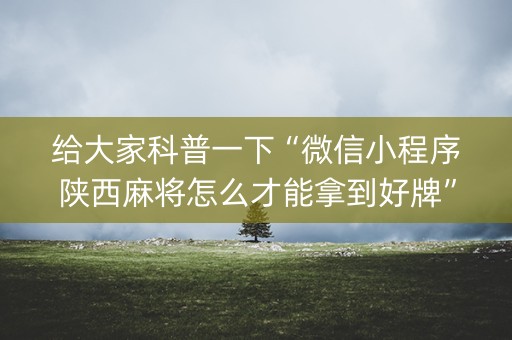 给大家科普一下“微信小程序陕西麻将怎么才能拿到好牌”（插件开挂免费AI)