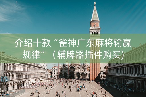 介绍十款“雀神广东麻将输赢规律”（辅牌器插件购买)