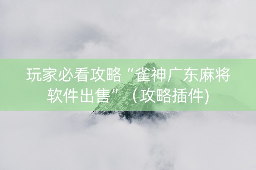 玩家必看攻略“雀神广东麻将软件出售”（攻略插件)