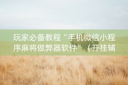 玩家必备教程“手机微信小程序麻将做弊器软件”（开挂辅助器插件)