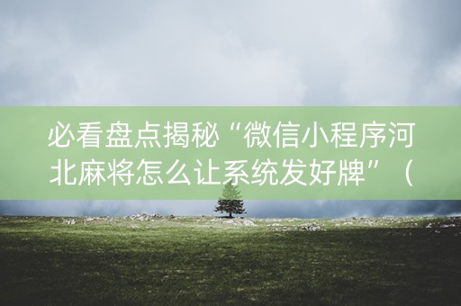 必看盘点揭秘“微信小程序河北麻将怎么让系统发好牌”（挂件神器)