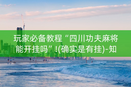 玩家必备教程“四川功夫麻将能开挂吗”!(确实是有挂)-知乎