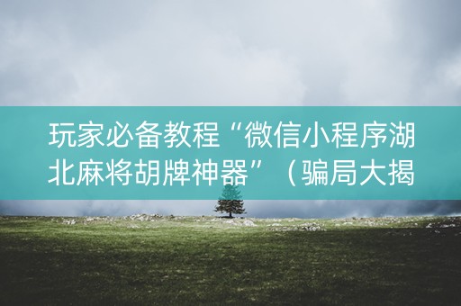玩家必备教程“微信小程序湖北麻将胡牌神器”（骗局大揭秘)