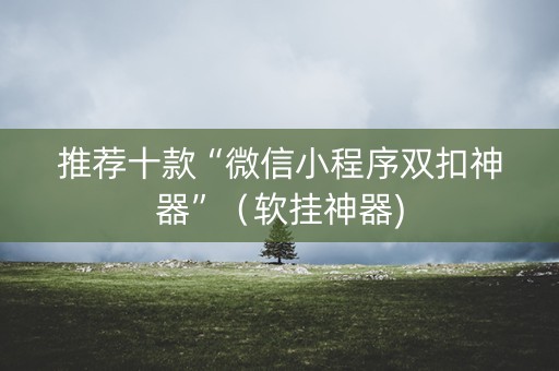 推荐十款“微信小程序双扣神器”（软挂神器)