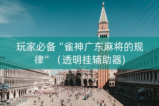 玩家必备“雀神广东麻将的规律”（透明挂辅助器)