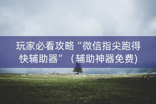 玩家必看攻略“微信指尖跑得快辅助器”（辅助神器免费)