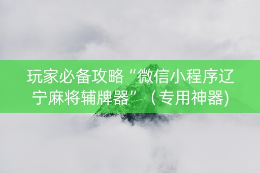 玩家必备攻略“微信小程序辽宁麻将辅牌器”（专用神器)