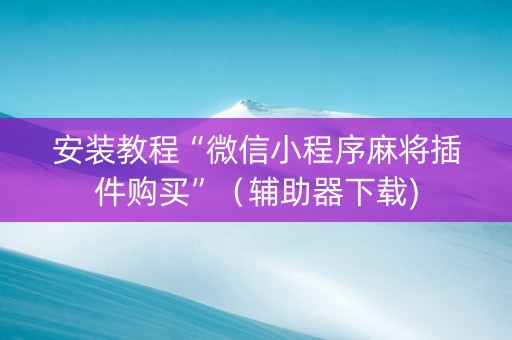 安装教程“微信小程序麻将插件购买”（辅助器下载)