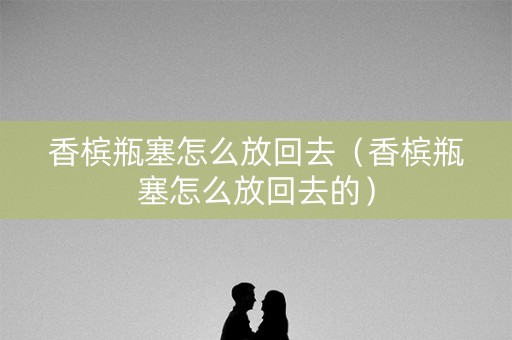 香槟瓶塞怎么放回去（香槟瓶塞怎么放回去的）