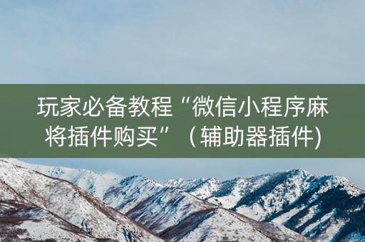 玩家必备教程“微信小程序麻将插件购买”（辅助器插件)